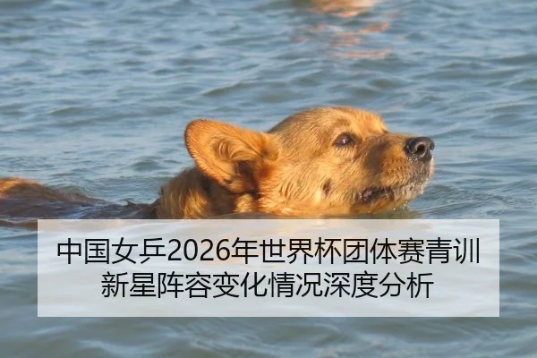 中国女乒2026年世界杯团体赛青训新星阵容变化情况深度分析